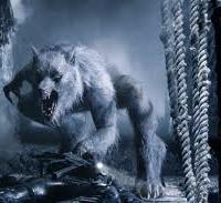 Willian Corvinus* Logo